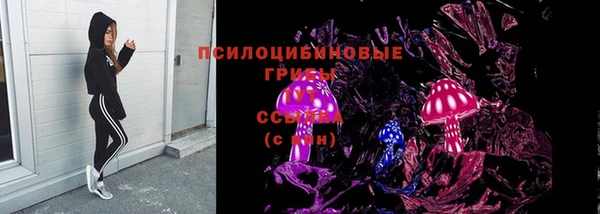 a pvp Новокубанск