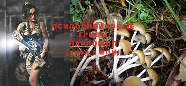 a pvp Новокубанск