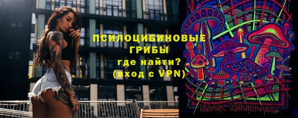 герыч Новодвинск