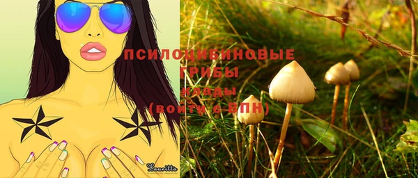 молекула духа Нягань