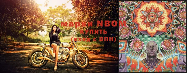 герыч Новодвинск