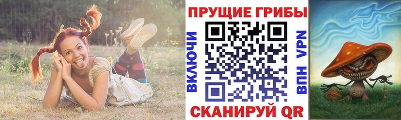 Галлюциногенные грибы MAGIC MUSHROOMS  Купить закладки  Алзамай 